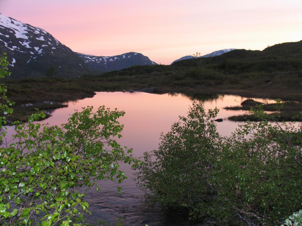 Hov Hyttegrend Viksdalen Exterior foto